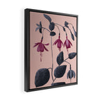 Fuchsia Botanical Drawing Framed Canvas Print Gallery Image 2