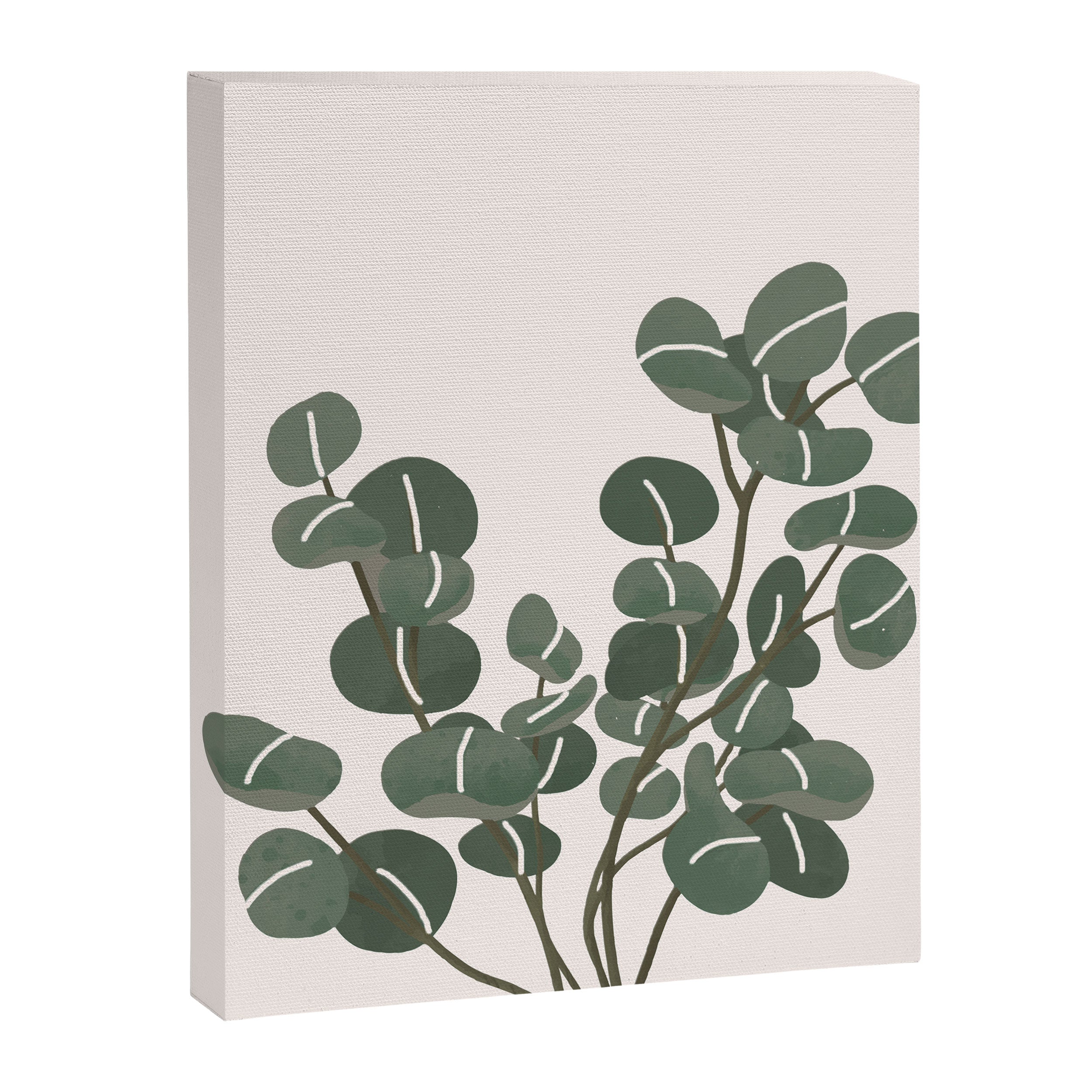 Little Eucalyptus Canvas Print Gallery Image 6