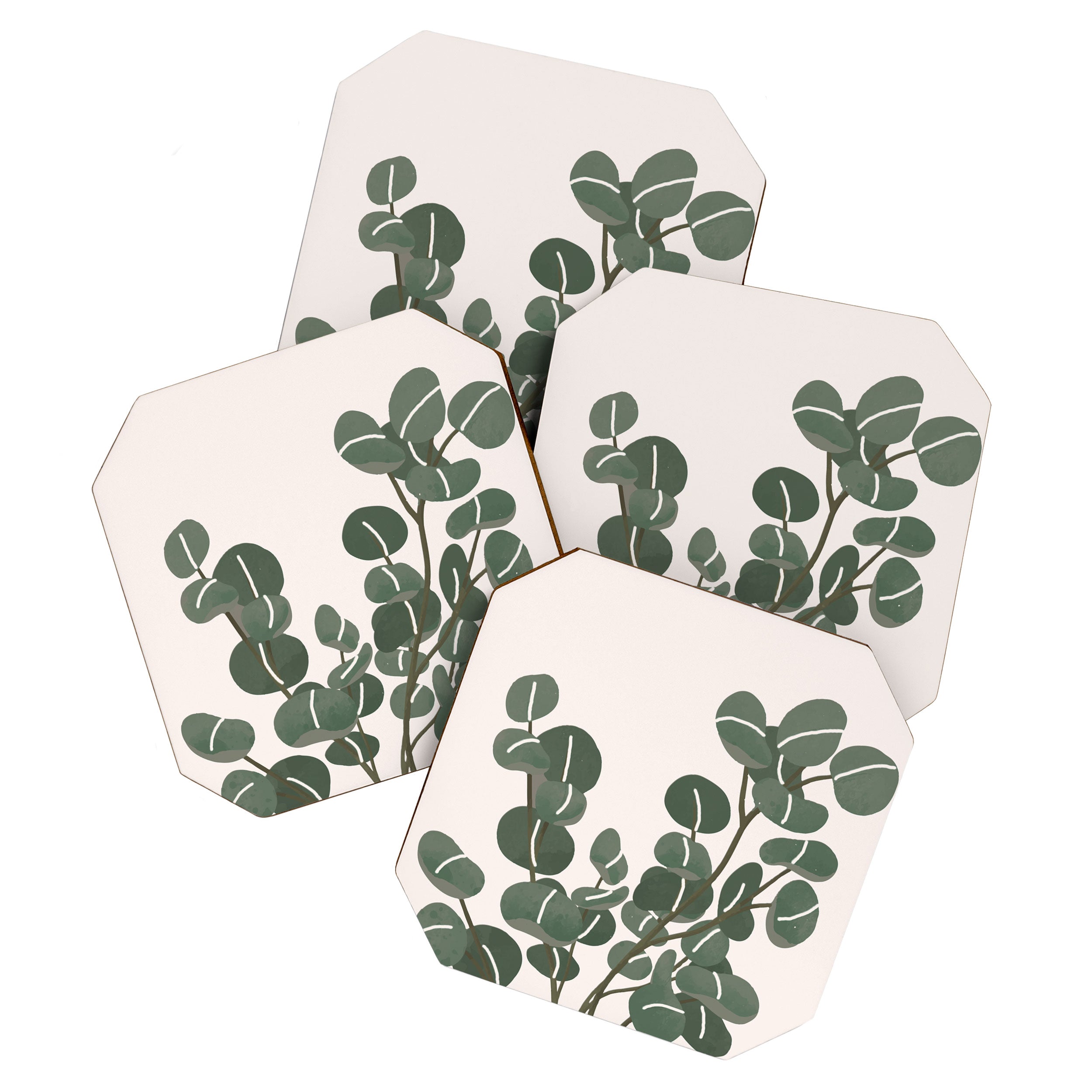 Little Eucalyptus Coaster Gallery Image 1