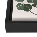Little Eucalyptus Framed Canvas Print Gallery Image 3
