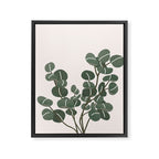 Little Eucalyptus Framed Canvas Print Gallery Image 6