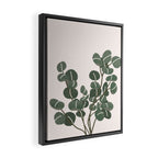Little Eucalyptus Framed Canvas Print Gallery Image 2