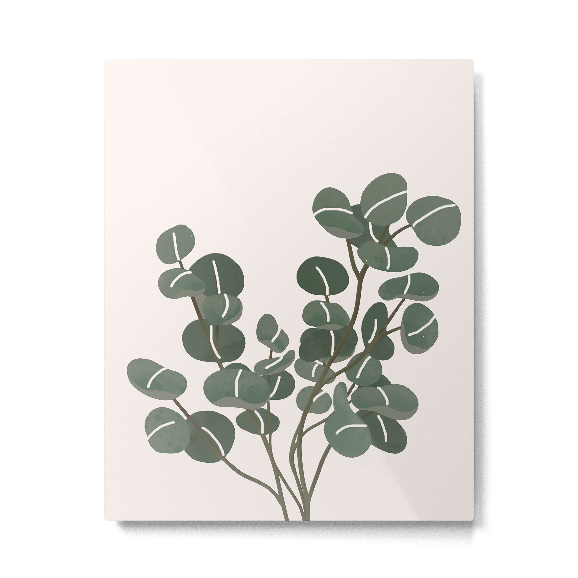 Little Eucalyptus Metal Print Gallery Image 4