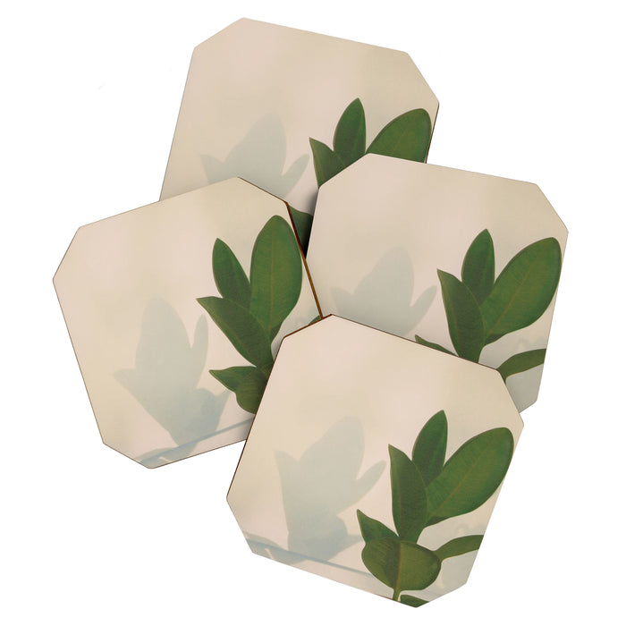 Little Pot Plant Coaster Gallery Image 1