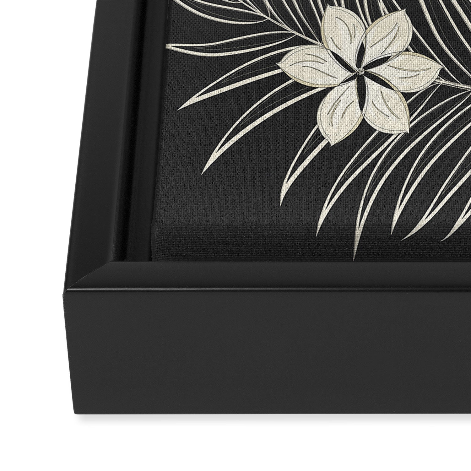 Minimal Botanica 1 Framed Canvas Print Gallery Image 3
