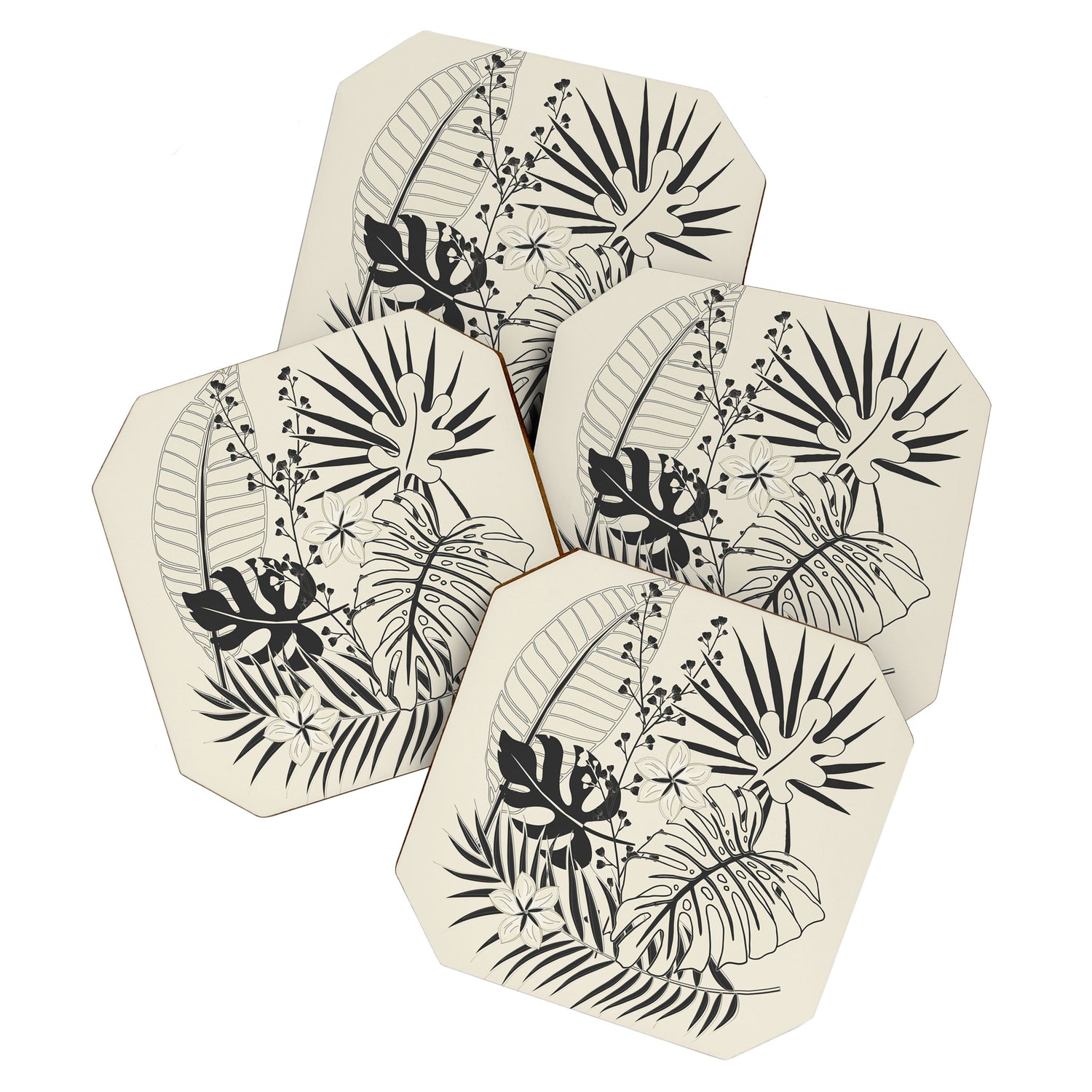 Minimal Botanica 2 Coaster Gallery Image 1