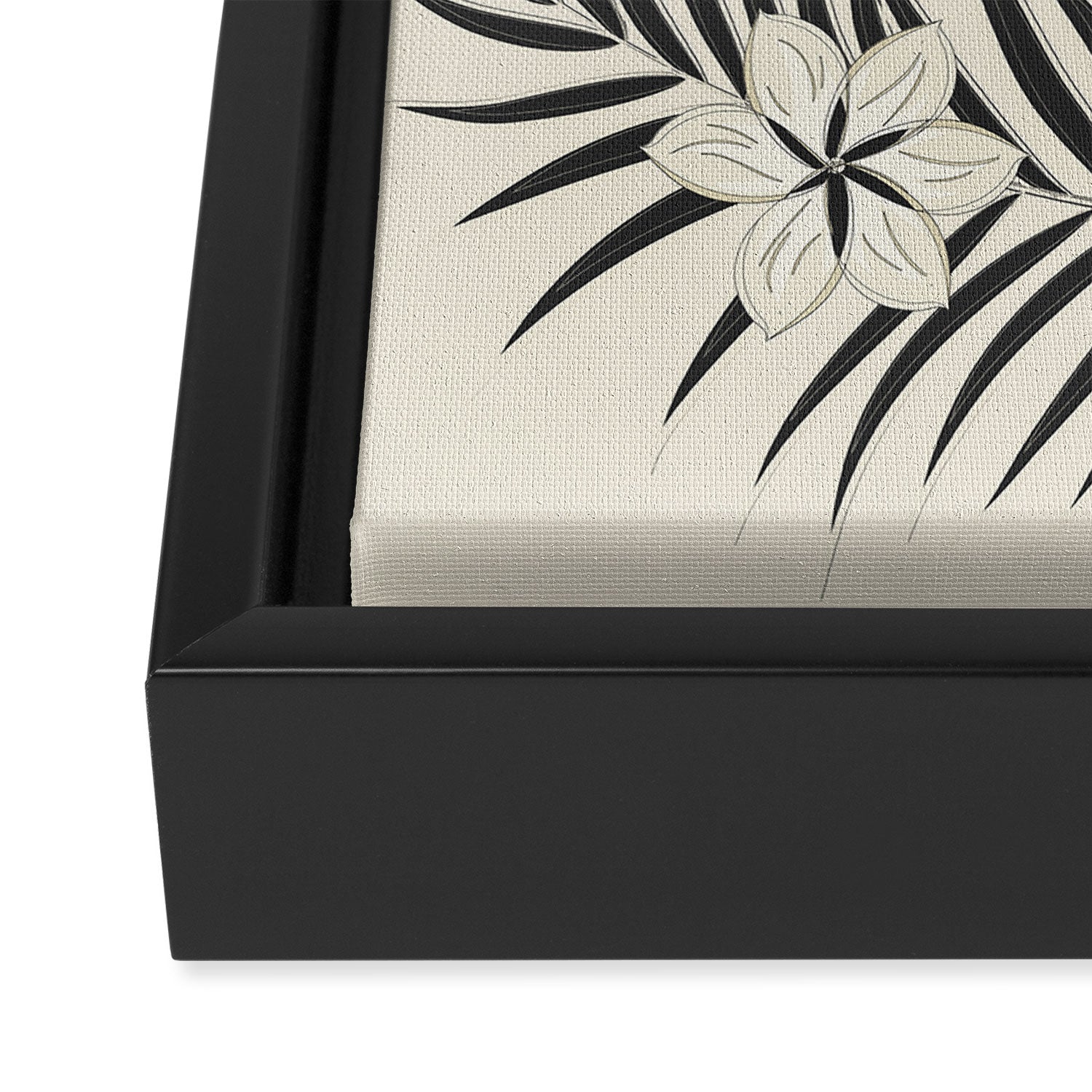 Minimal Botanica 2 Framed Canvas Print Gallery Image 3