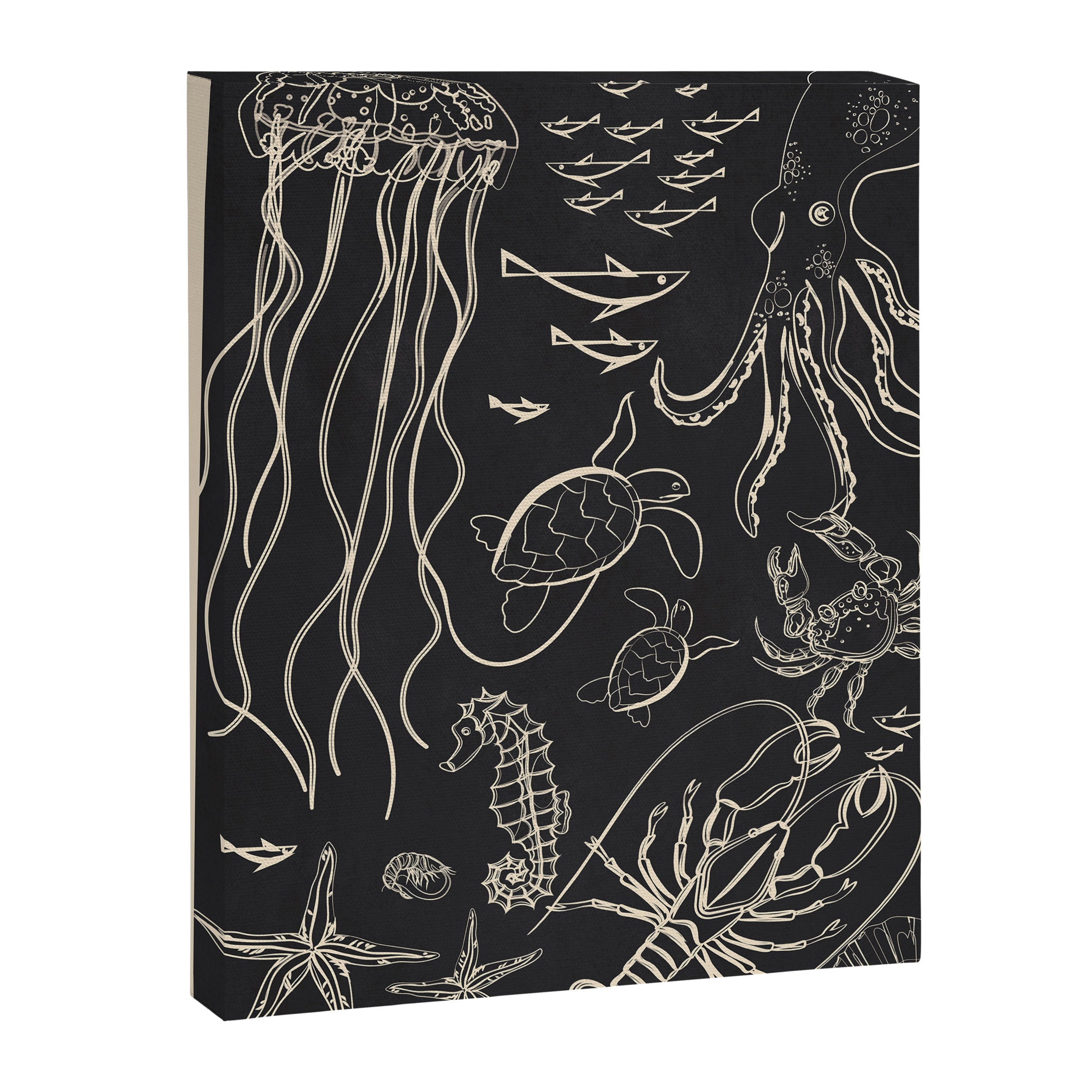 Minimal Sea Life 1 Canvas Print Gallery Image 6
