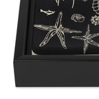 Minimal Sea Life 1 Framed Canvas Print Gallery Image 3