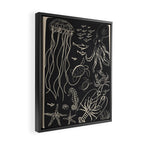 Minimal Sea Life 1 Framed Canvas Print Gallery Image 2