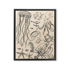 Minimal Sea Life 2 Framed Canvas Print Gallery Image 6