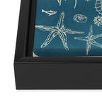 Minimal Sea Life 3 Framed Canvas Print Gallery Image 3