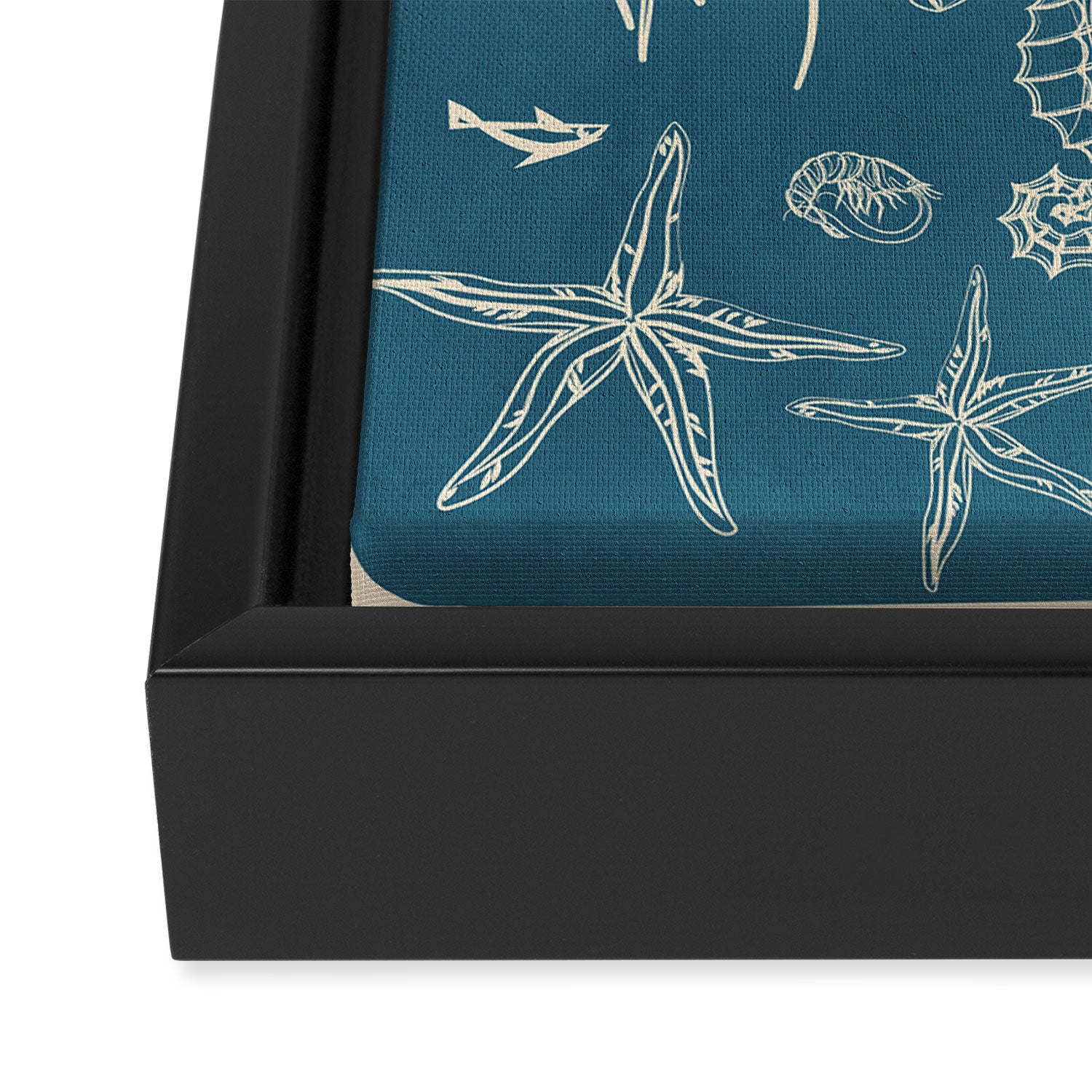 Minimal Sea Life 3 Framed Canvas Print Gallery Image 3