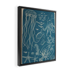 Minimal Sea Life 3 Framed Canvas Print Gallery Image 2