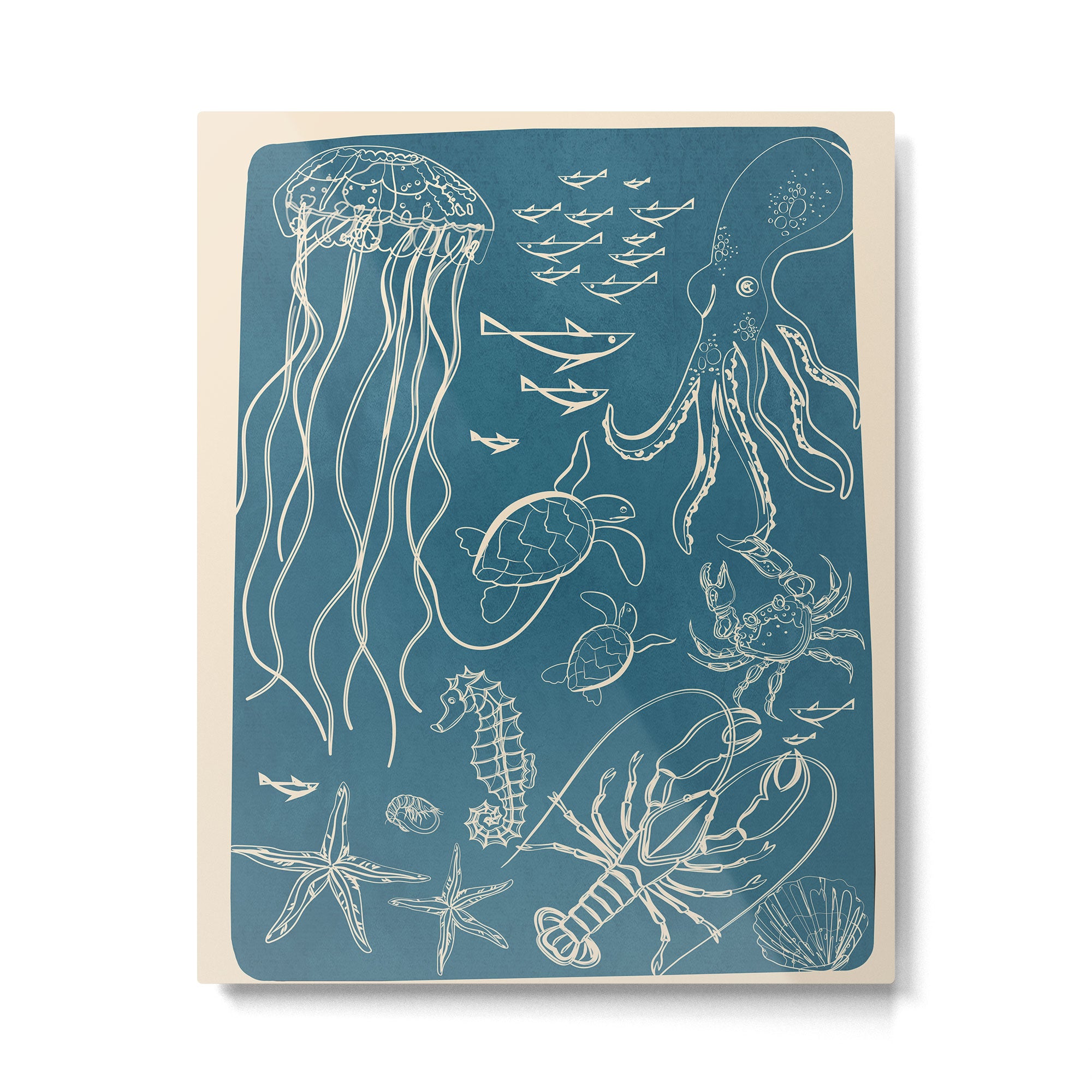 Minimal Sea Life 3 Metal Print Gallery Image 4