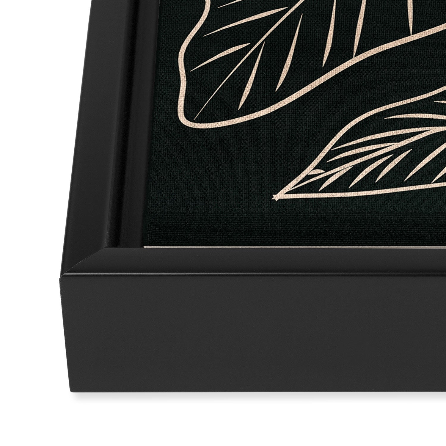 Minimalist Black & White Leaves 1 Framed Canvas Print Gallery Image 3