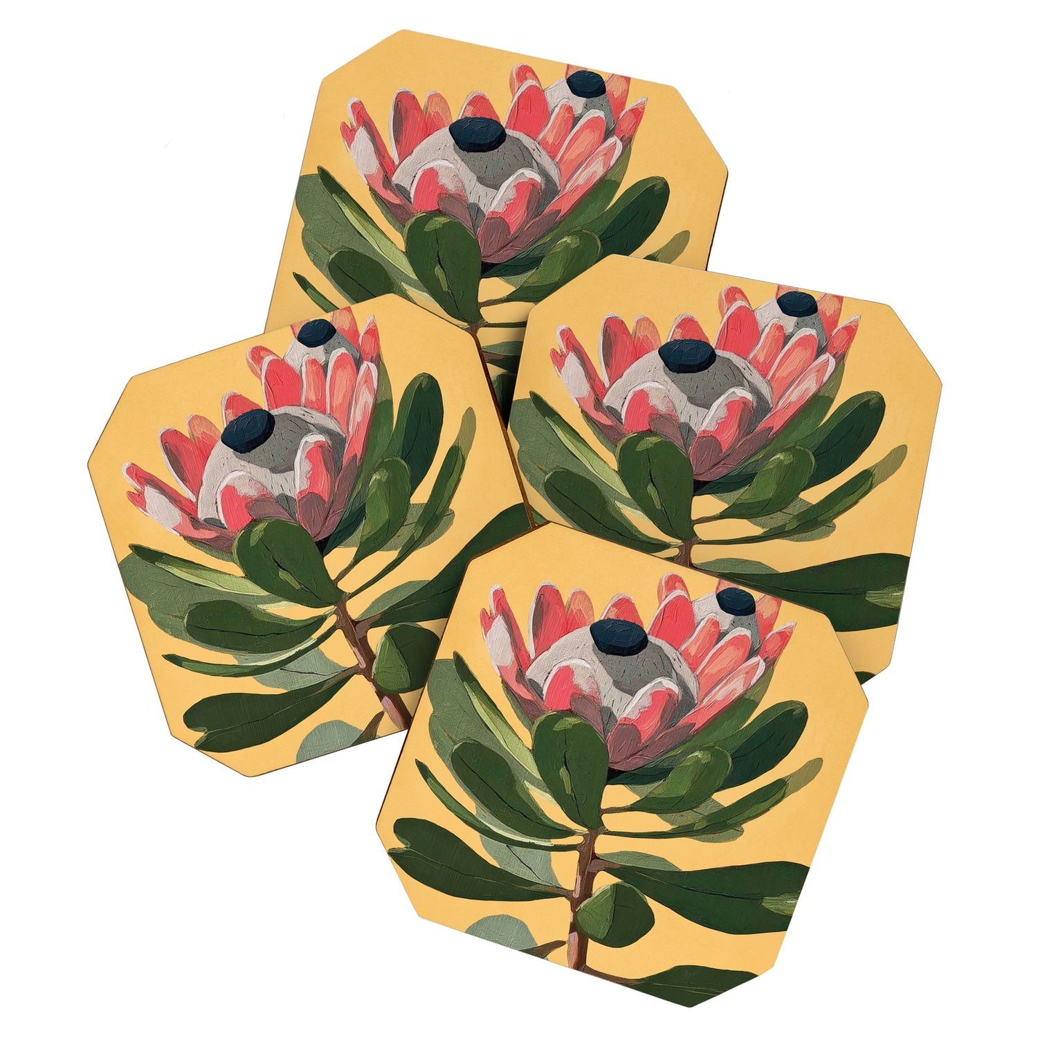 Protea Bloom with Sage Leaves Coaster Gallery Image 1