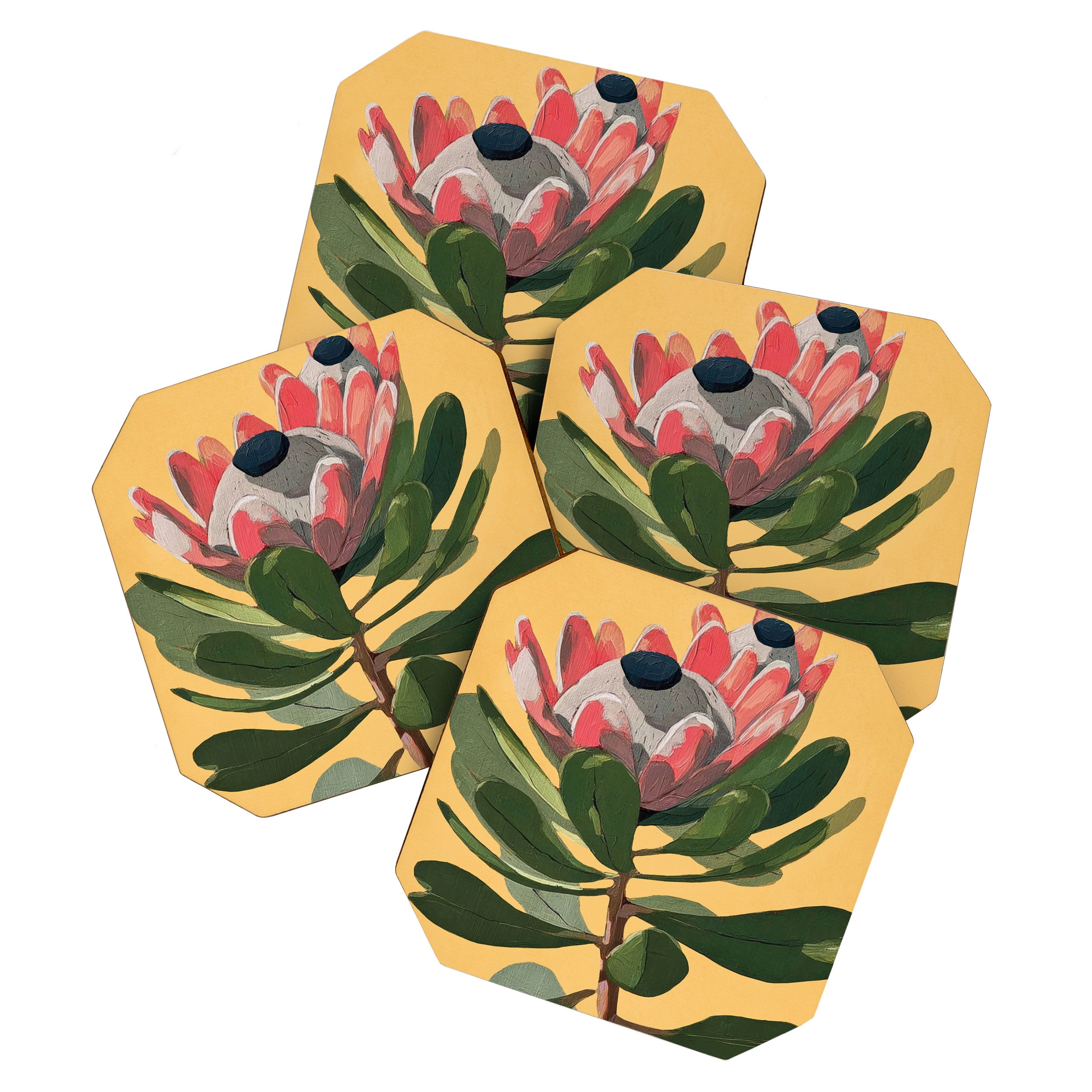 Protea Bloom with Sage Leaves Coaster Gallery Image 1