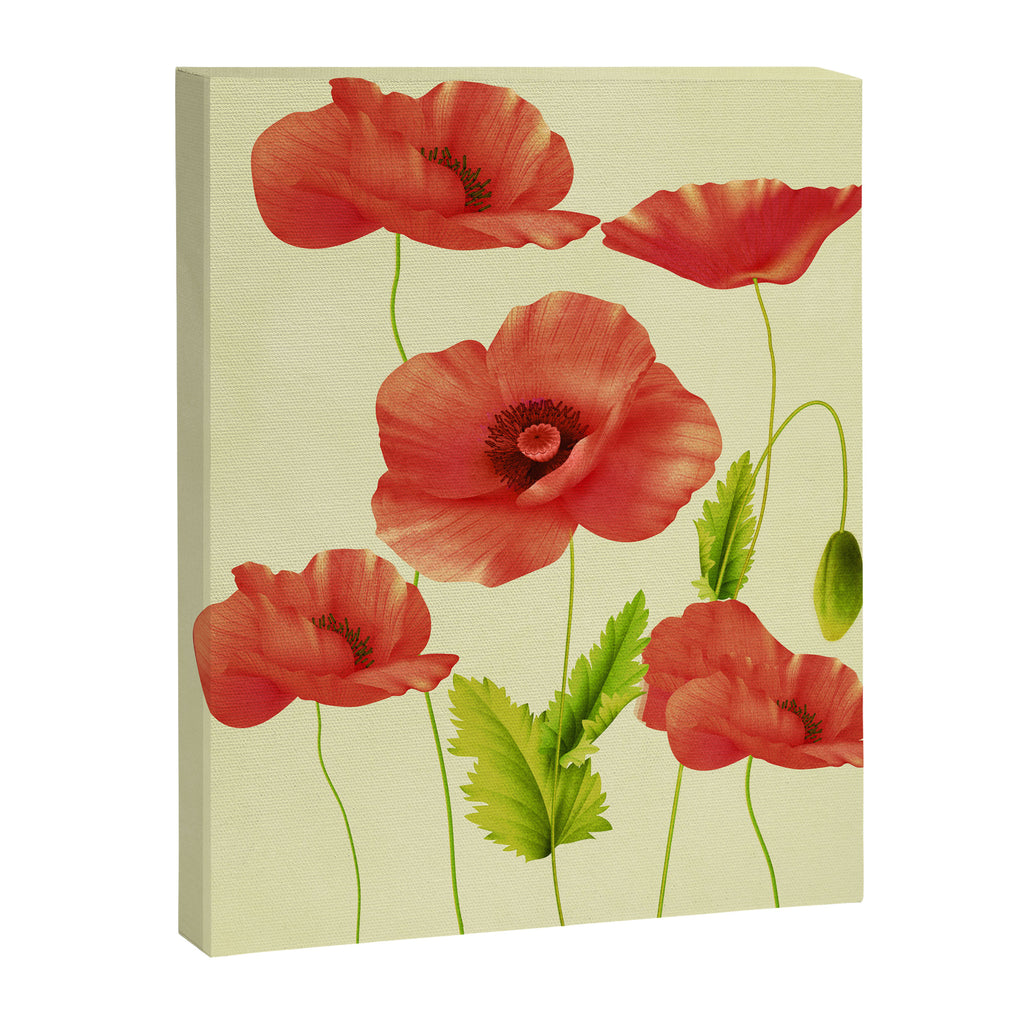 Red Poppies 3 Canvas Print Gallery Image 8
