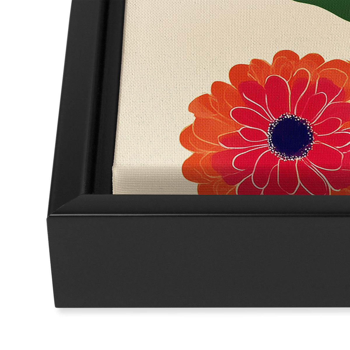 Red Zinnias Framed Canvas Print Gallery Image 3