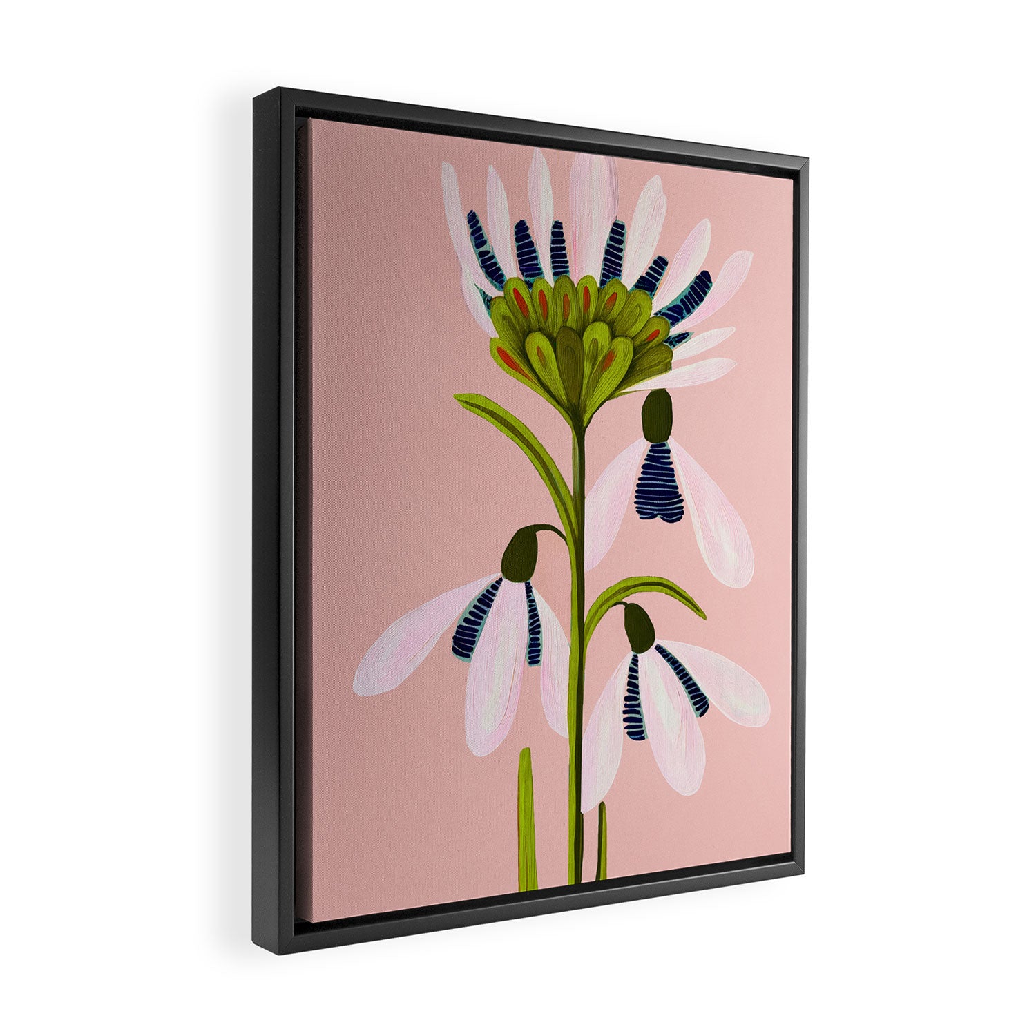 Snowdrop Trio on Blush Pink Framed Canvas Print Gallery Image 2