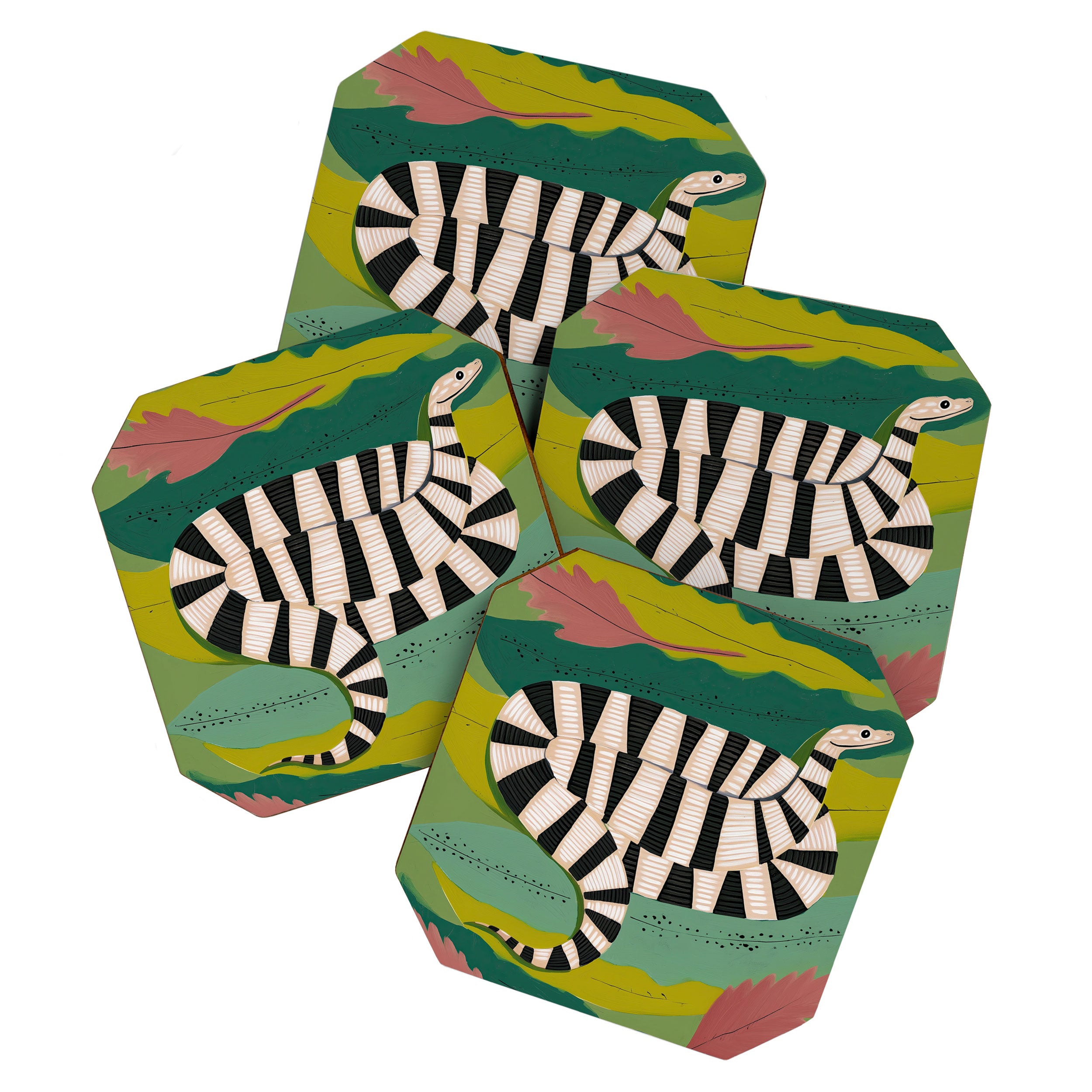 Striped Snake Coaster Gallery Image 1