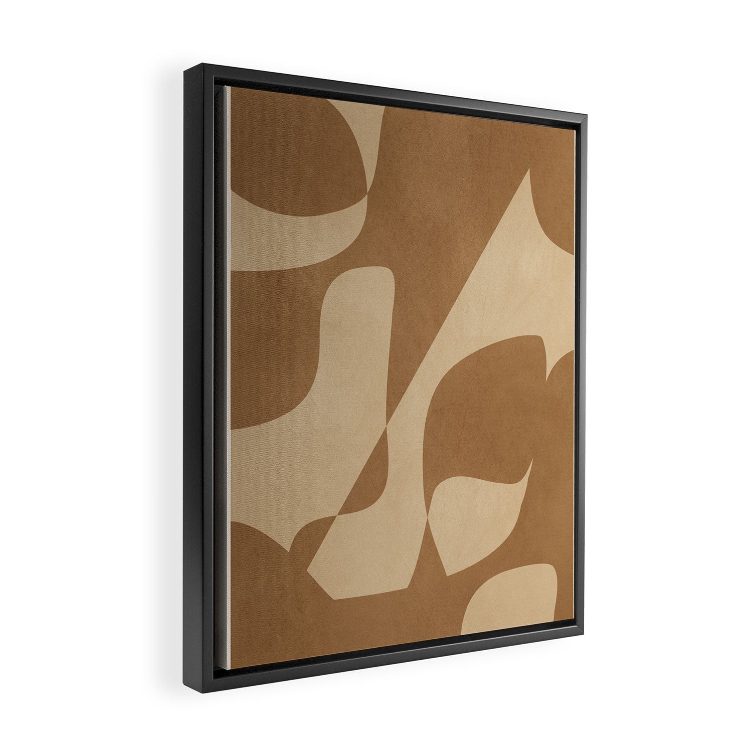 Terra Shadow 4 Framed Canvas Print Gallery Image 2