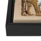 The Lady and the Tiger Framed Canvas Print Gallery Image 3