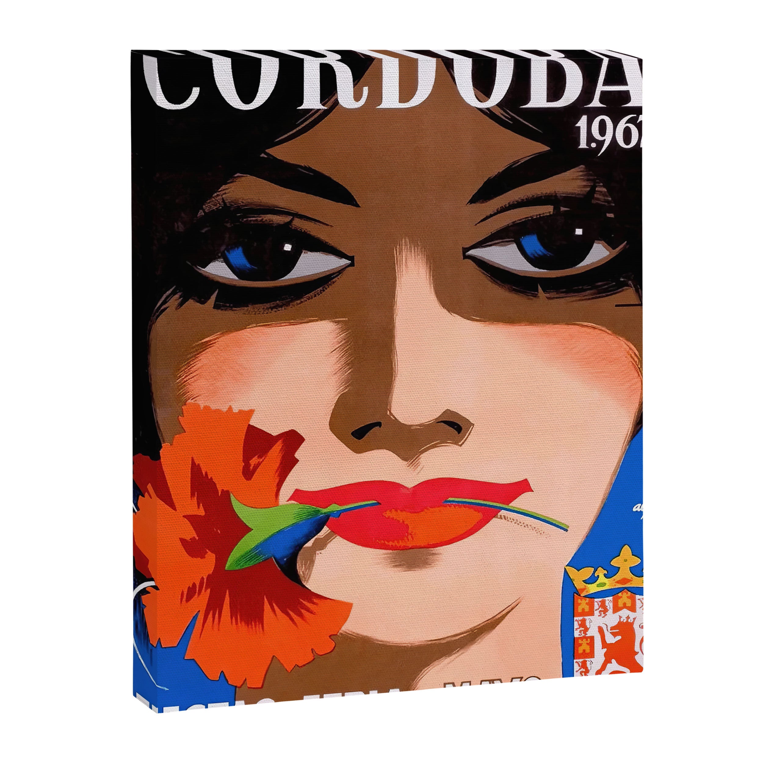 Cordoba Spain May Festivals  Canvas Print Gallery Image 6