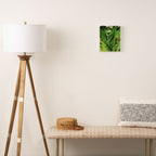 Georgia O'Keeffe Waterfall No. 3 Canvas Print Gallery Image 2