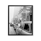  llama in times square print - a llama in times square-Llama Riding in Taxi, Black and White Vintage Framed Canvas Print Gallery Image 8