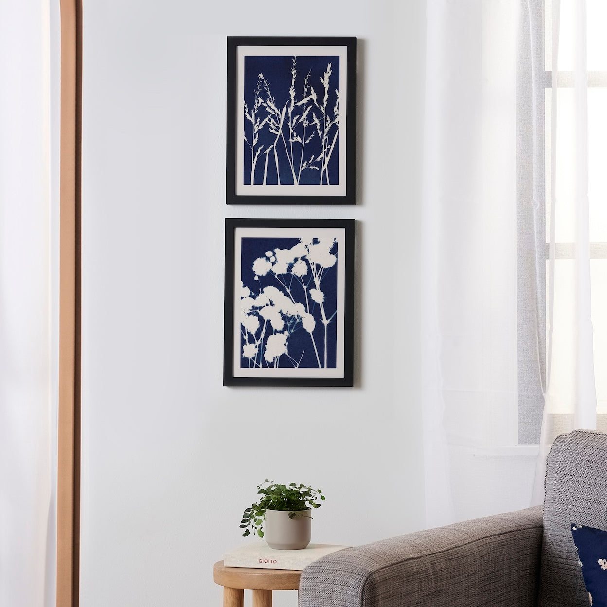 Botanical Cyanotypes Set Framed Poster