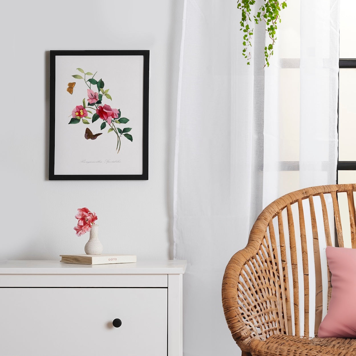 Bougainvillea By Paul Gervais Framed Poster