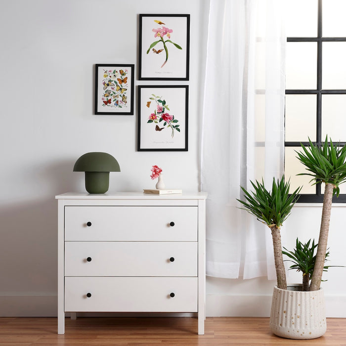 From Le Jardin Des Plantes Set Framed Poster