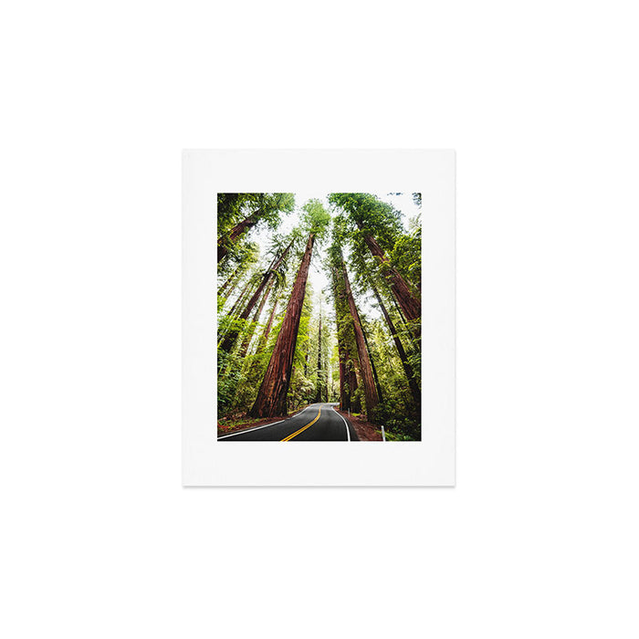 humboldt redwood forest Art Print Gallery Image 1