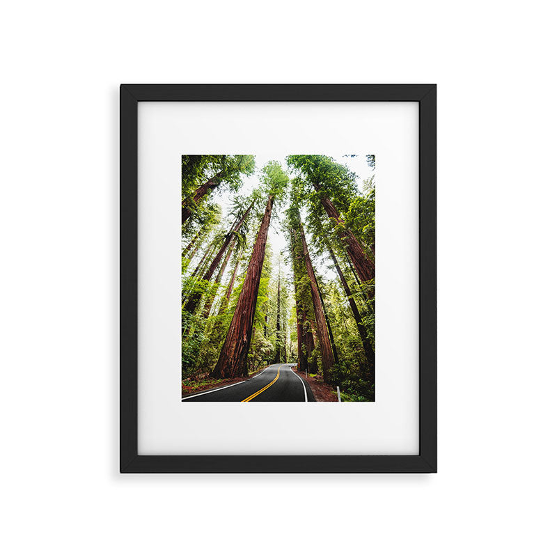 humboldt redwood forest Framed Art Print Gallery Image 5