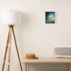 24916 Canvas Print Gallery Image 2