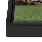 3046 Framed Canvas Print Gallery Image 3