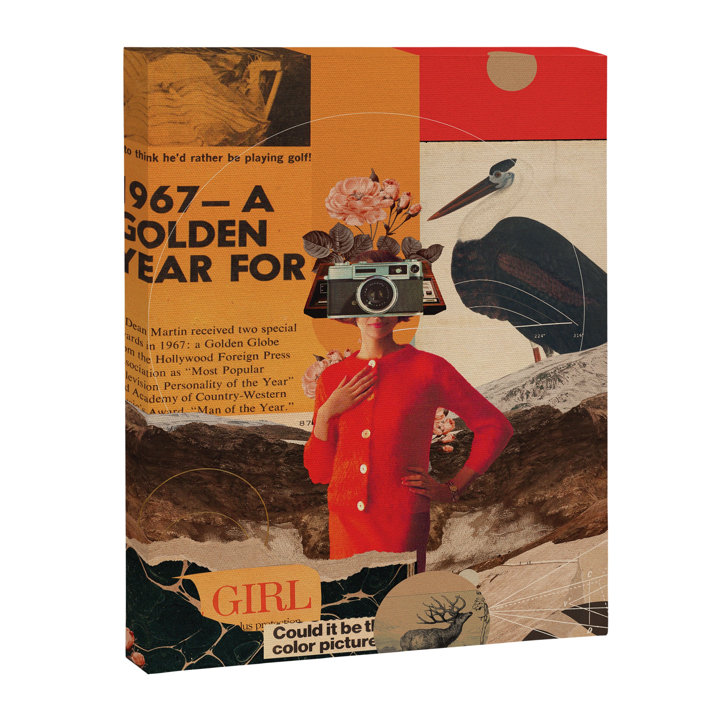 a Golden Year Canvas Print Gallery Image 6