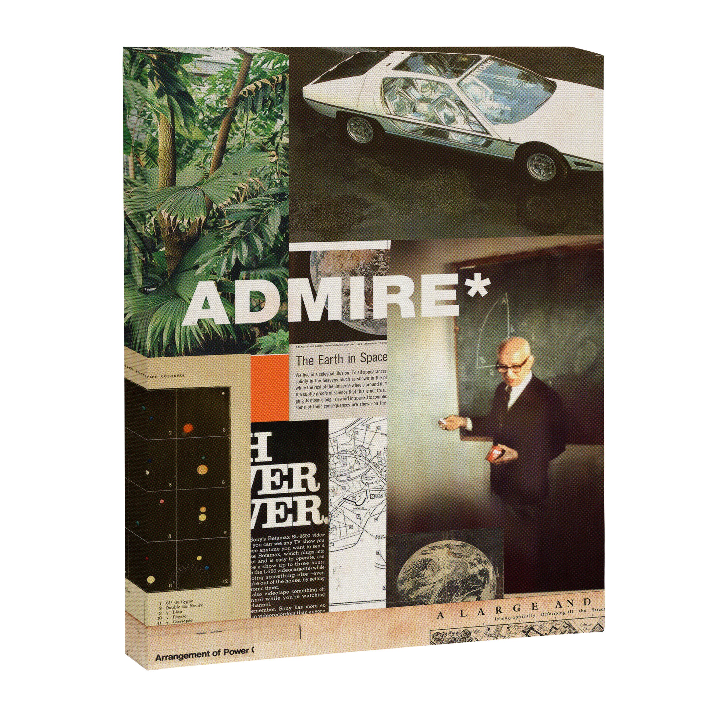 Admire Canvas Print Gallery Image 6