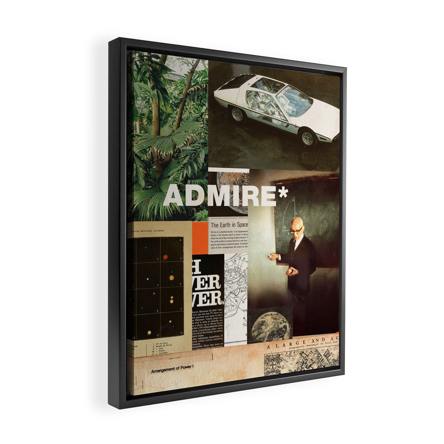 Admire Framed Canvas Print Gallery Image 2