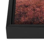 Andromeda Framed Canvas Print Gallery Image 3
