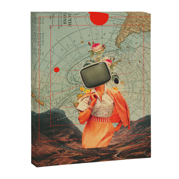 Antarctic Broadcast Canvas Print Gallery Image 1