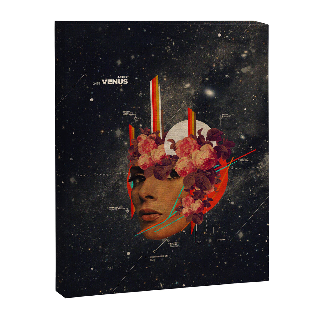 Astrovenus Canvas Print Gallery Image 6