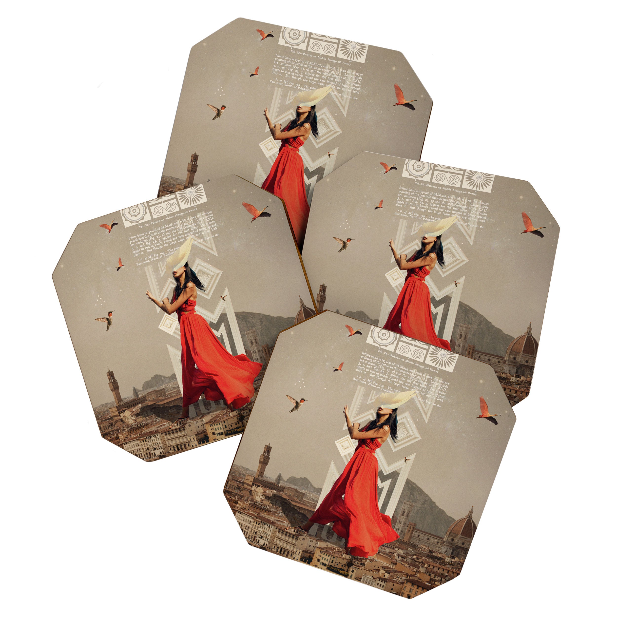 Bird Whisperer Coaster Gallery Image 1