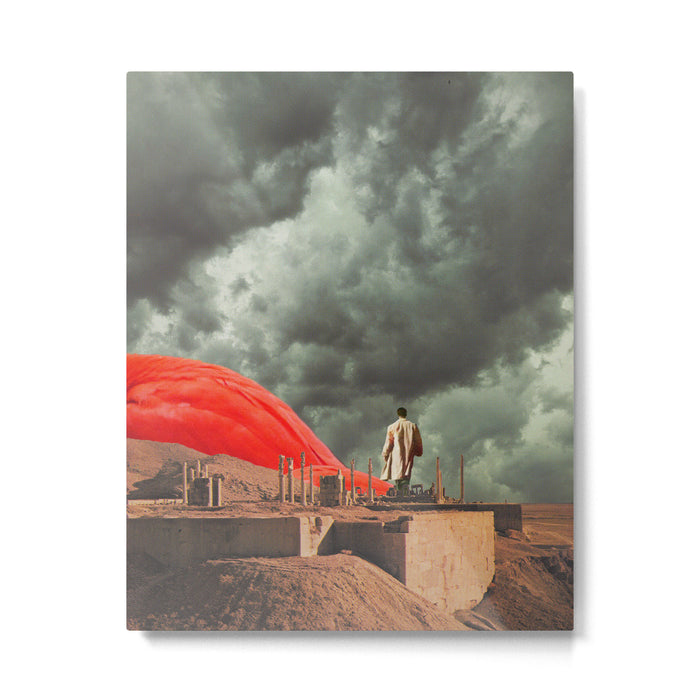 Birds Metal Print Gallery Image 1