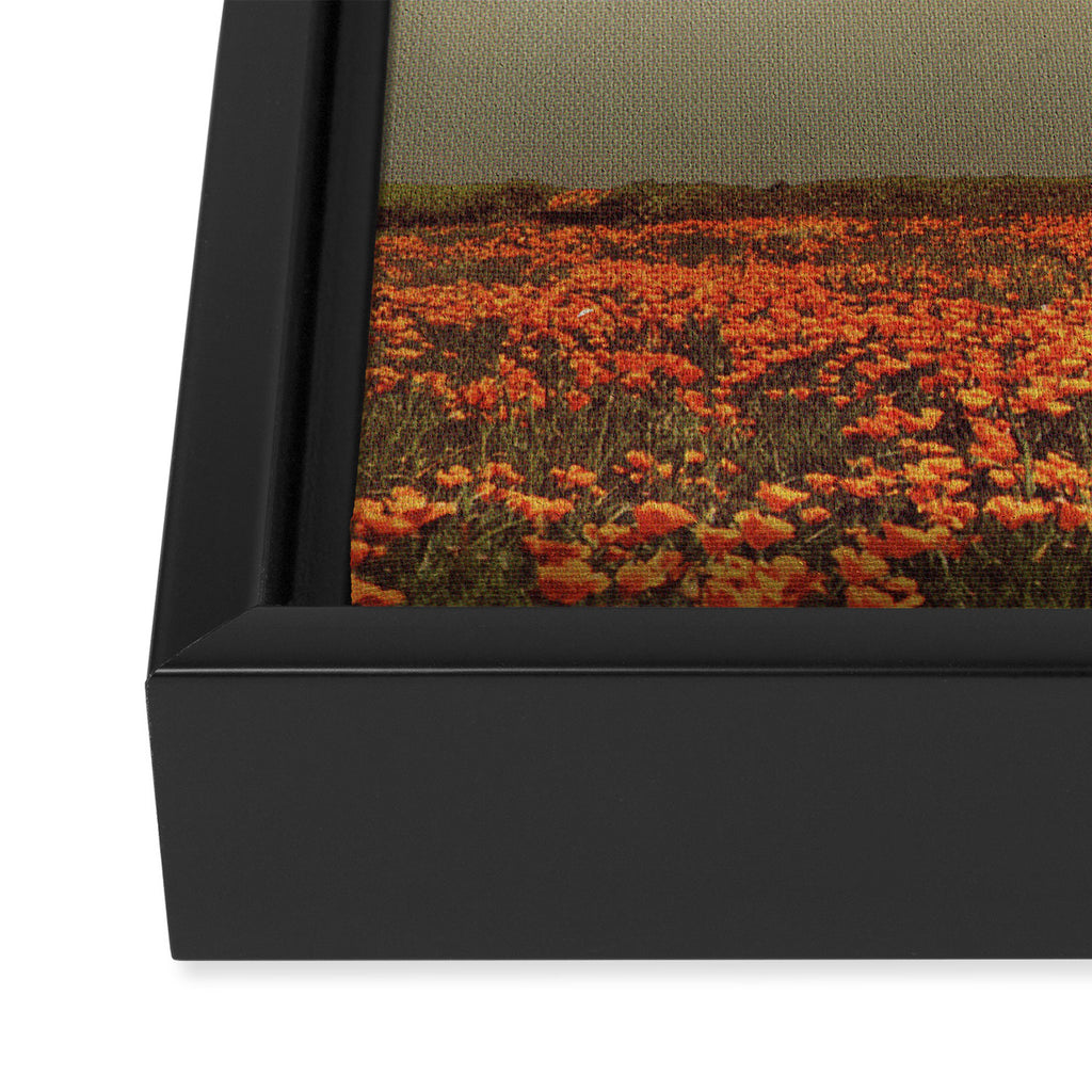 Come Framed Canvas Print Gallery Image 3