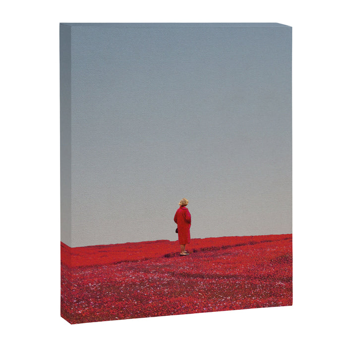 Everything was Red Canvas Print Gallery Image 1