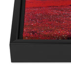 Everything was Red Framed Canvas Print Gallery Image 3