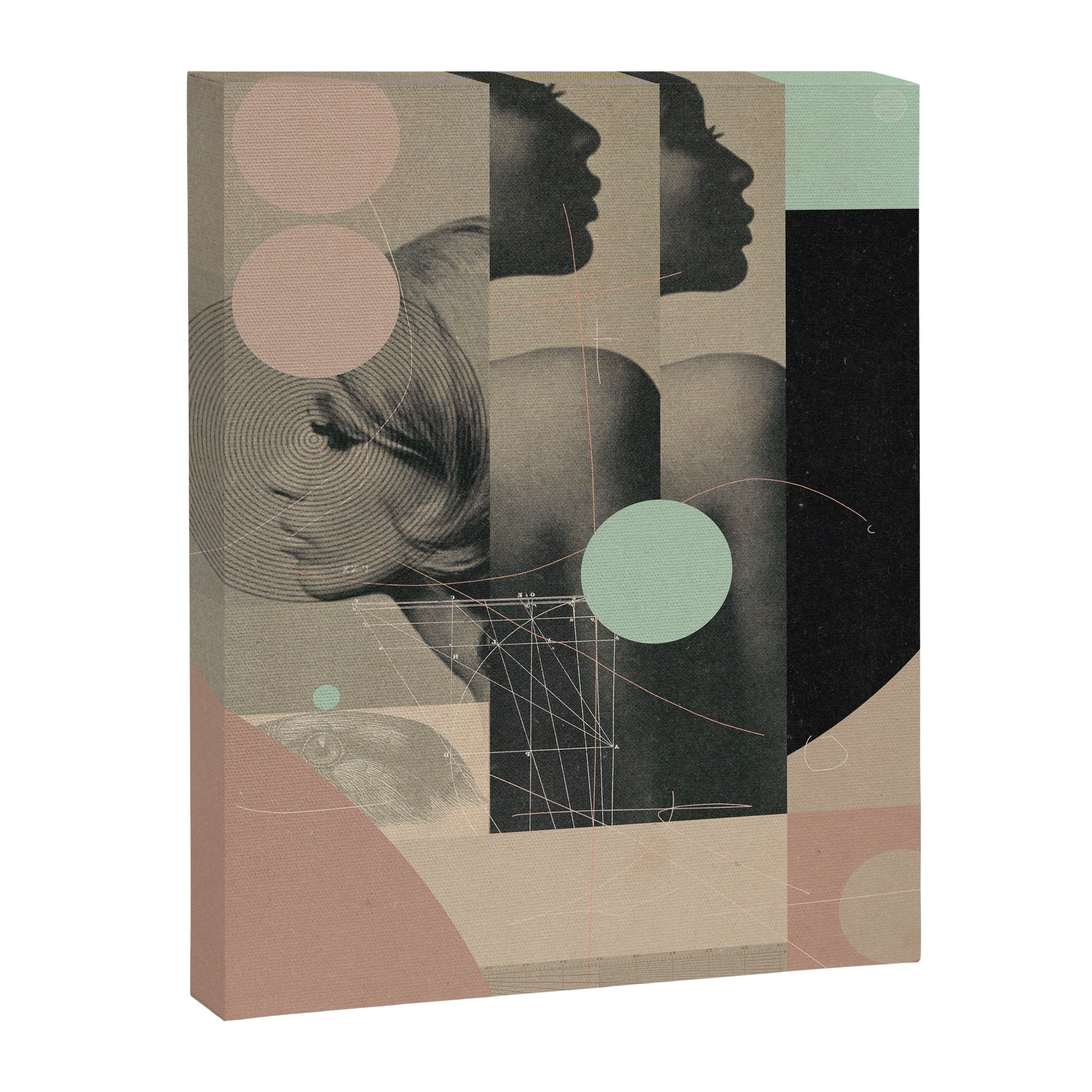 Feminence Canvas Print Gallery Image 6